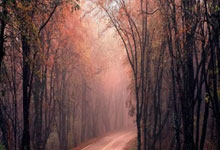 在哪里可以在线观看曼城vs阿森纳的比赛？观赛全攻略来了