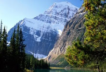 中国女足获东亚杯亚军，这份成绩单背后藏着哪些故事与启示？